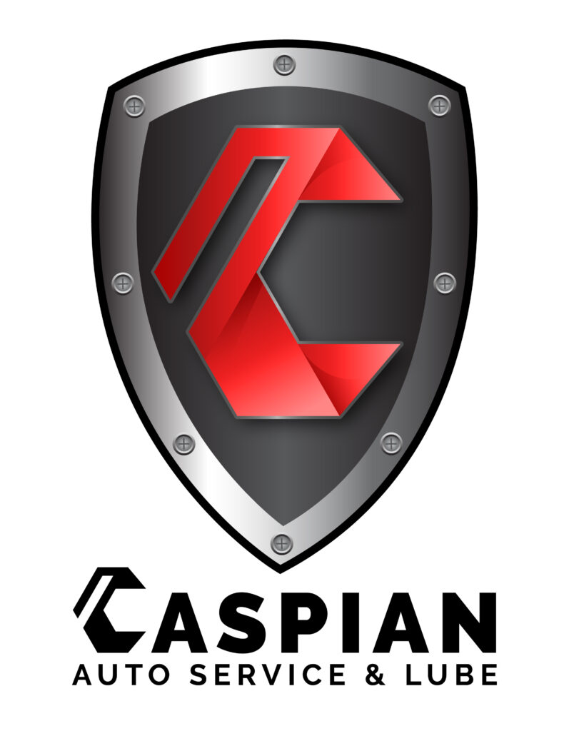 CASPIAN AUTO SERVICE LTD