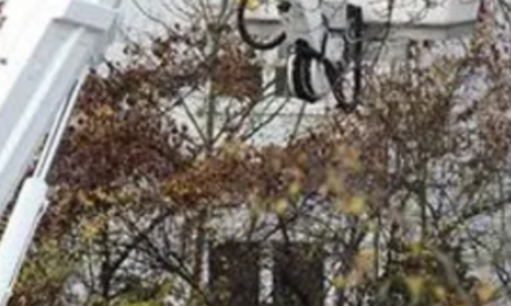 Huronia tree service Thunder Bay Kings Hockey