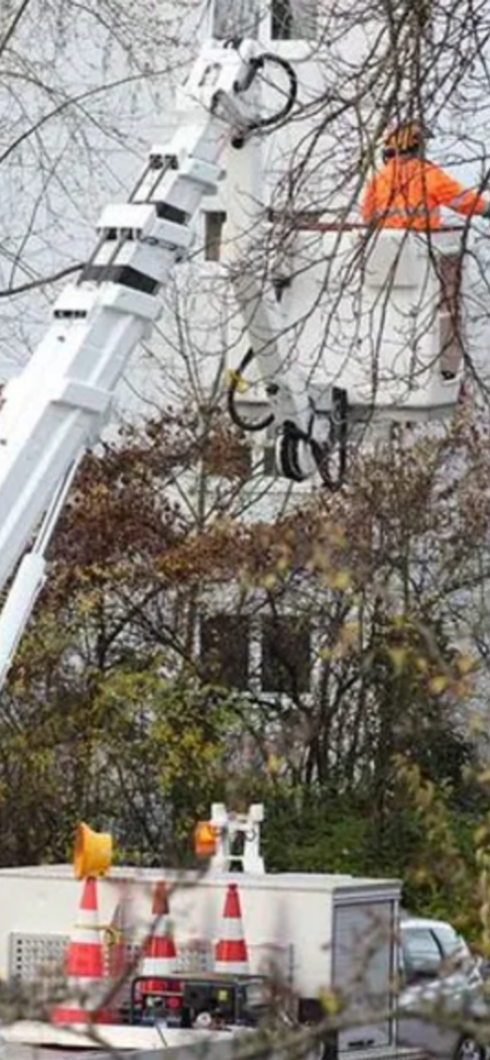 Huronia tree service Thunder Bay Kings Hockey