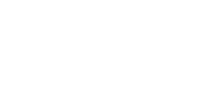 Partners in Rehab